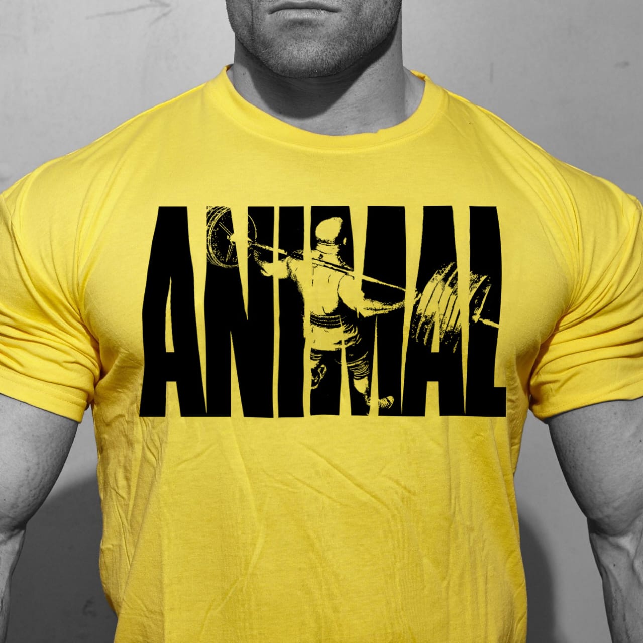 Cross-border 2018ANIMAL Men's sports fitness T-shirts sports short sleeve manufacturers
